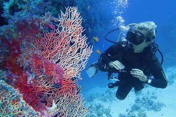 Woman scuba diver admiring beautiful coral reef and sea fan (gorgonia) coral