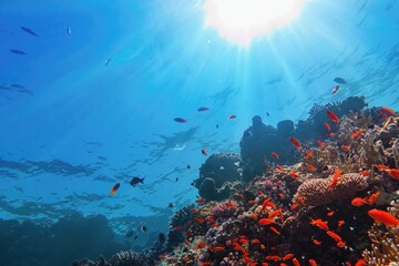 Sun beams shinning underwater on the tropical coral reef. Ecosystem and environment conservation concept. Life-giving sunlight.