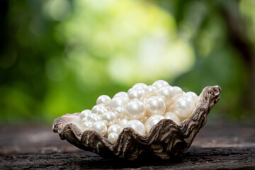 Pearl on shell and on nature background.