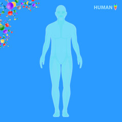 Human body cosmetology, illustration vector