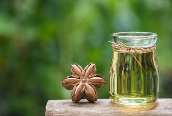 Sacha inchi or plukenetia volubilis ,dried fruits and oil on nature background.