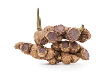 Black galingale rhizome isolated on white background with clipping path.