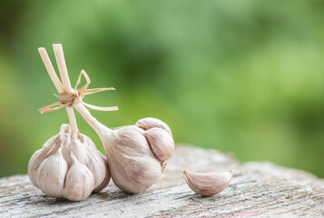 Dried garlic on nature background.
