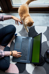 Woman searching vet website on laptop to register cat for veterinary consultation