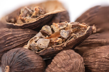 Black cardamom or amomum subulatum isolated on white background.