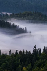 Printed roller blinds Forest in fog Autumn morning in Apuseni Mountains 