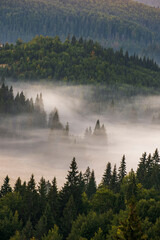 Herbstmorgen im Apuseni-Gebirge