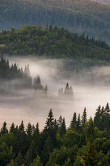 Foto op Plexiglas Mistig bos Herfstochtend in het Apuseni-gebergte