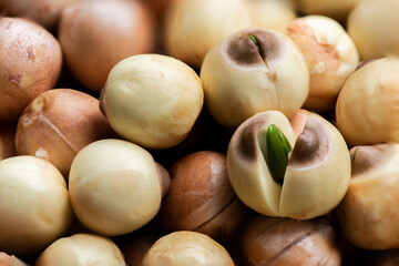 Cut lotus seed on lotus seeds background.