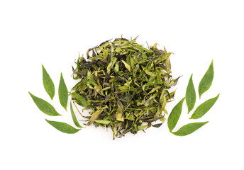 Fresh and dried andrographis paniculata or kariyat leaves  isolated on white background.top view,falt lay.