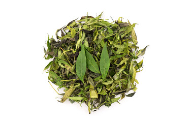 Fresh and dried andrographis paniculata or kariyat leaves  isolated on white background.top view,falt lay.