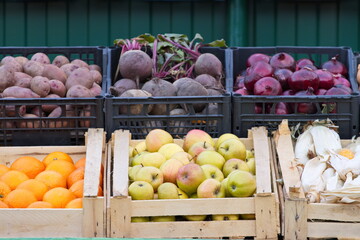Vegetables and fruits on the market counter. The boxes contain: potatoes, beet, onion, apples, oranges, corn.