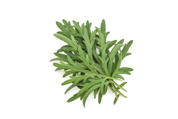 Mugwort or artemisia annua green leaves isolated on white background.top view,flat lay.