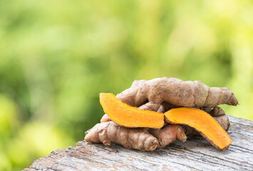 Turmeric or curcuma longa rhizome on nature background.