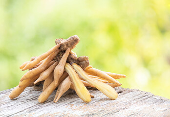 Chinese ginger or galingale rhizome on nature background.