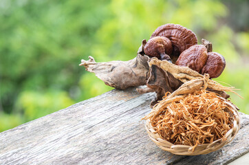 Cordyceps militaris,lingzhi and ginseng on nature background.