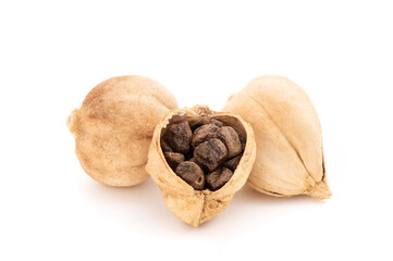 Siam cardamom or amomum verum fruits isolated on white background.