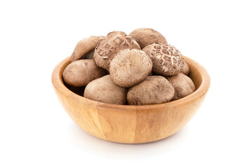 Fresh shiitake isolated on white background.
