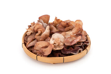 Jelly ear mushrooms isolated on white background.