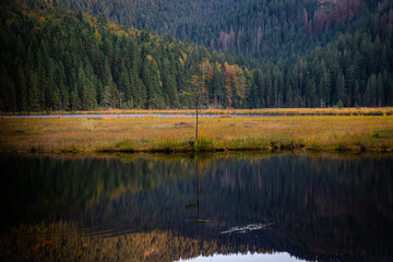 Kleiner Arbersee Bayerischer Wald