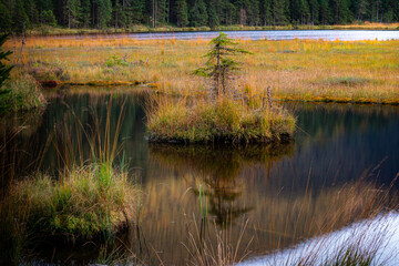 Kleiner Arbersee Bayerischer Wald