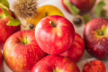 秋の味覚　赤いリンゴと黄色いリンゴ