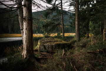 Kleiner Arbersee Bayerischer Wald