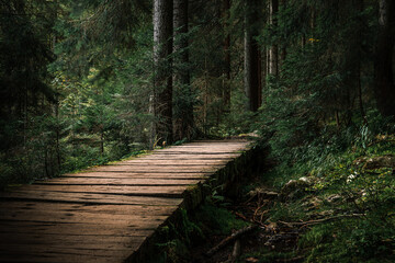 Obraz premium Kleiner Arbersee Bayerischer Wald