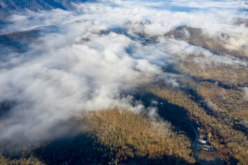 Fog above the forest on sunny winter day. Gelendzhik, Krasnodar Krai, Russia.