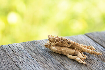 Ginseng or Panax ginseng on natural background.