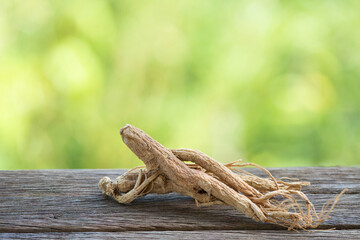 Ginseng or Panax ginseng on natural background.