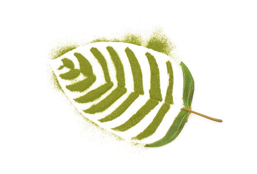 Kratom or Mitragyna speciosa isolated on white background.top view,flat lay.