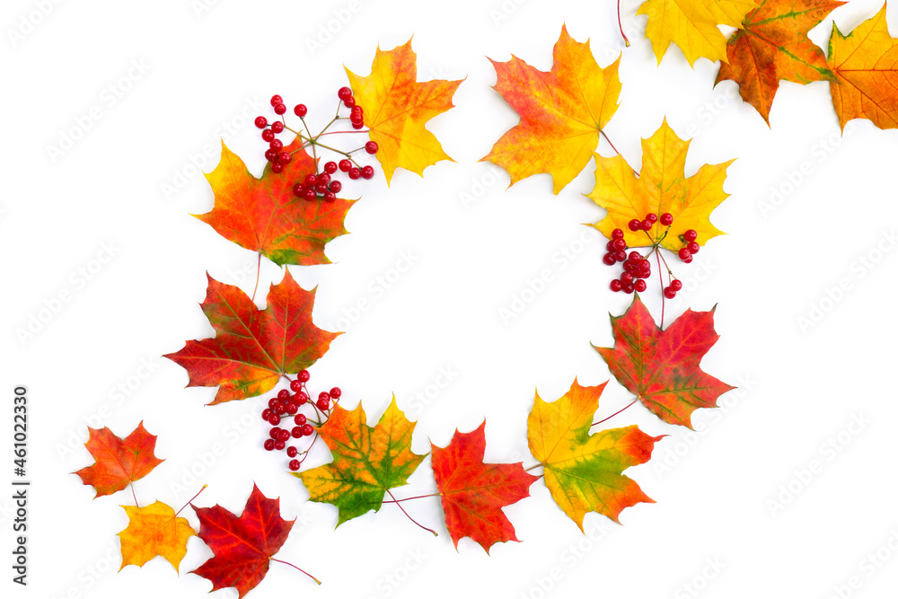 Wall mural frame of autumn maple leaves and red berrses viburnum on white background with space for text. top v