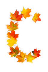 Letter C of colorful autumnal maple leaves on white background. Top view, flat lay