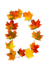 Letter D of colorful autumnal maple leaves on white background. Top view, flat lay