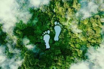 Zelfklevend Fotobehang Een meer in de vorm van menselijke voetafdrukken midden in een weelderig bos als metafoor voor de impact van menselijke activiteit op het landschap en de natuur in het algemeen. 3D-rendering. © malp