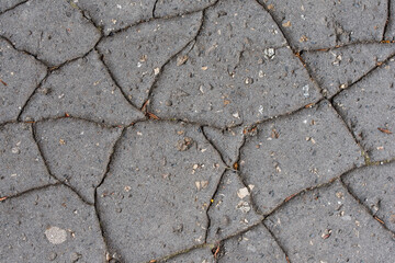 Obraz premium The paving in the city park