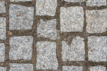 Obraz premium The paving in the city park