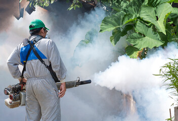 Rear view of outdoor healthcare worker using fogging machine spraying chemical to eliminate...