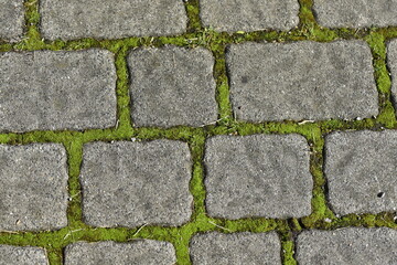 The paving in the city park
