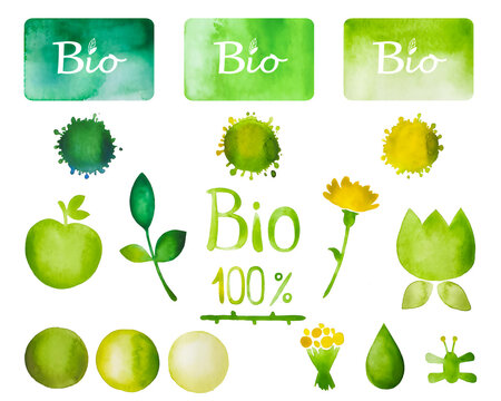 Bio watercolor set in green colors. The set consists of inscriptions, symbols, patterns. Apples, plants, dandelions. A symbol of a healthy world.
