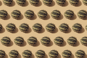 Autumn sunlit yellow background with green seasonal fruits. Flat lay harvest or halloween concept. Creative layout of colorful vegetables. Copy space.