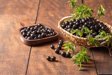 Jabuticaba, Jabuticabas freshly harvested and not yet washed, placed in a straw basket and wooden bowl on rustic wood, selective focus.