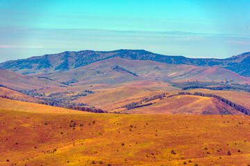 Naklejka premium Summer landscape with hills and mountains of the Altai.