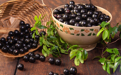 Jabuticaba, Jabuticabas freshly harvested in pots and baskets arranged on rustic wood, selective focus.