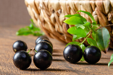 Jabuticaba, Jabuticabas freshly harvested and not yet washed in details on a straw mat, selective focus.