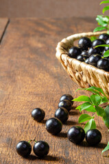 Jabuticaba, Jabuticabas freshly harvested in pots and baskets arranged on rustic wood, selective focus.