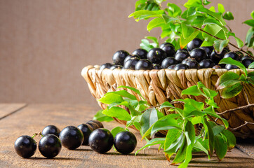 Jabuticaba, Jabuticabas freshly harvested in pots and baskets arranged on rustic wood, selective focus.