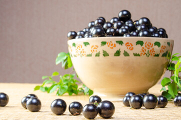 Jabuticaba, Jabuticaba freshly harvested and not yet washed, and branches with leaves placed in a beautiful crockery bowl on a straw mat, selective focus.