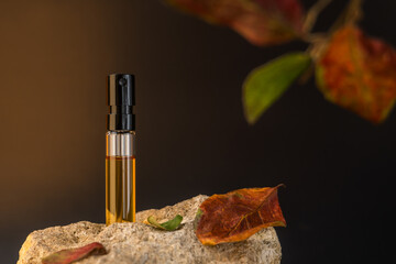 Beautiful glass sprayer bottle standing on a stone. Autumn cosmetic concept composition. Wooden...